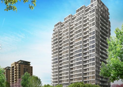 Onze projecten Onze projecten